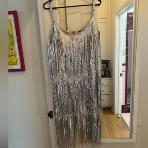 Silver sequined fringe dress. Worn once.
